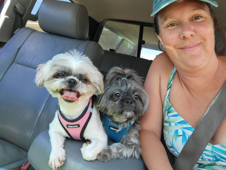 This image has an empty alt attribute; its file name is echo-2.jpg